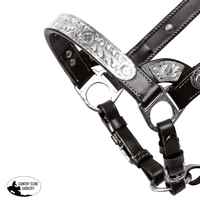Double S Cassidy Show Halter With Lead Horse Tack