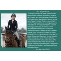 Gut Health Plus - Country Scene Saddlery and Pet Supplies