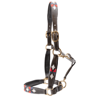 Jeremy & Lord Leather Polo Halter Horse Wear » Halters Bronc