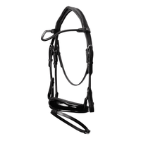 Jeremy & Lord Rolled Memory Foam Bridle English Bridle