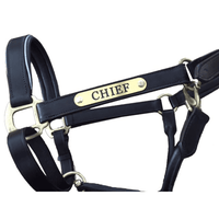 New! Leather Halter - Brass Fittings With Engraved Horse Nameplate Hamag Saddle Cloth Number Holders