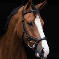 New! Micklem Bridle Posted.* Bridles