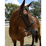 New! Plain Cavesson Snaffle Bridle Posted.* Cavesson Snaffle