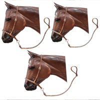 Showman ® Argentina Leather Braided Nose Tiedown. Horse Wear