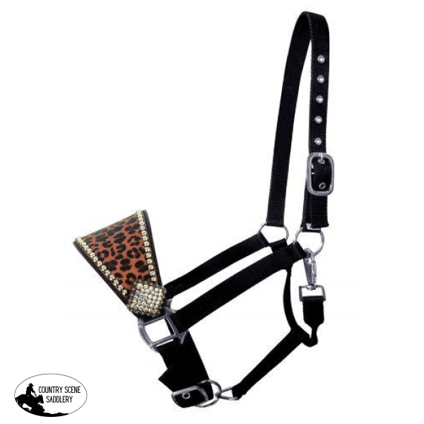 New! Showman ® Nylon Bronc Halter . Laced One Eared