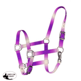 Showman ® Premium Nylon Horse Sized Ombre Halter Purple Tack Sets
