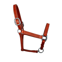 Syd Hill Cooroy Track Halter Western Show Halters