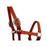 Syd Hill Cooroy Track Halter Western Show Halters
